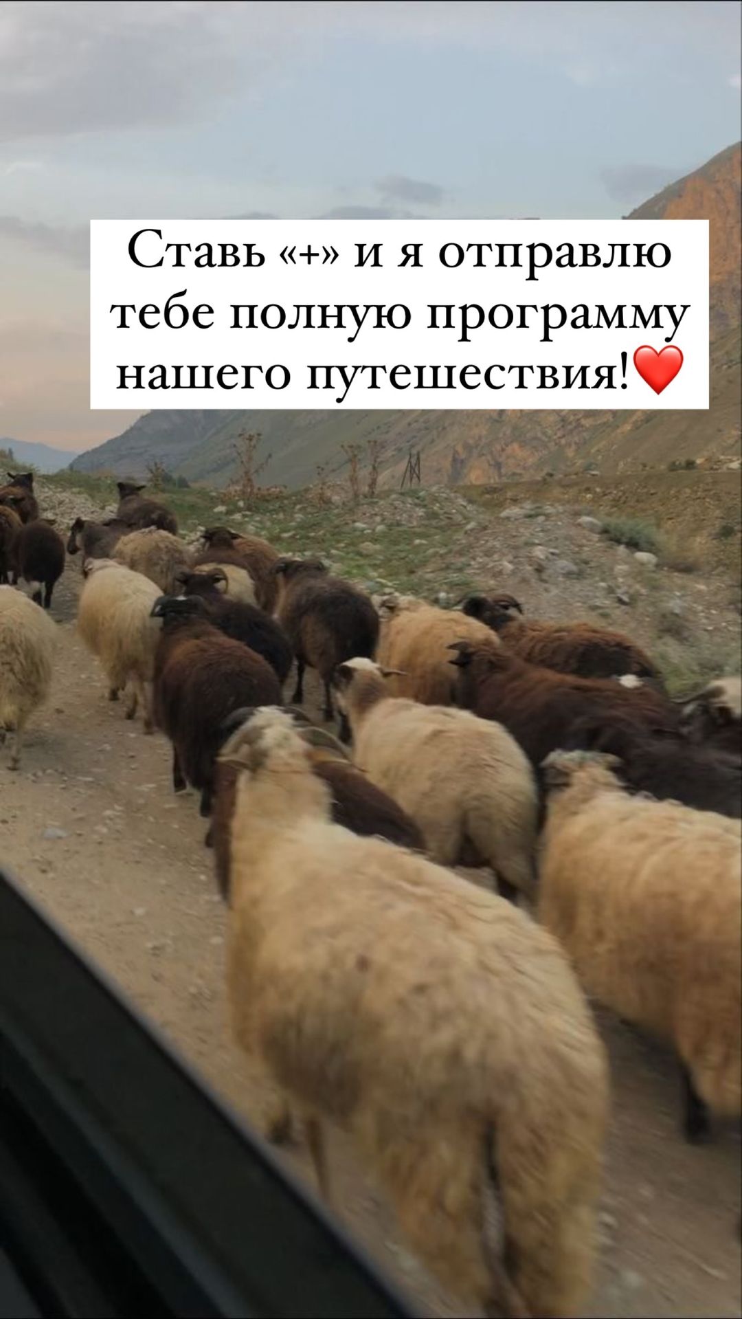 Животные грузии